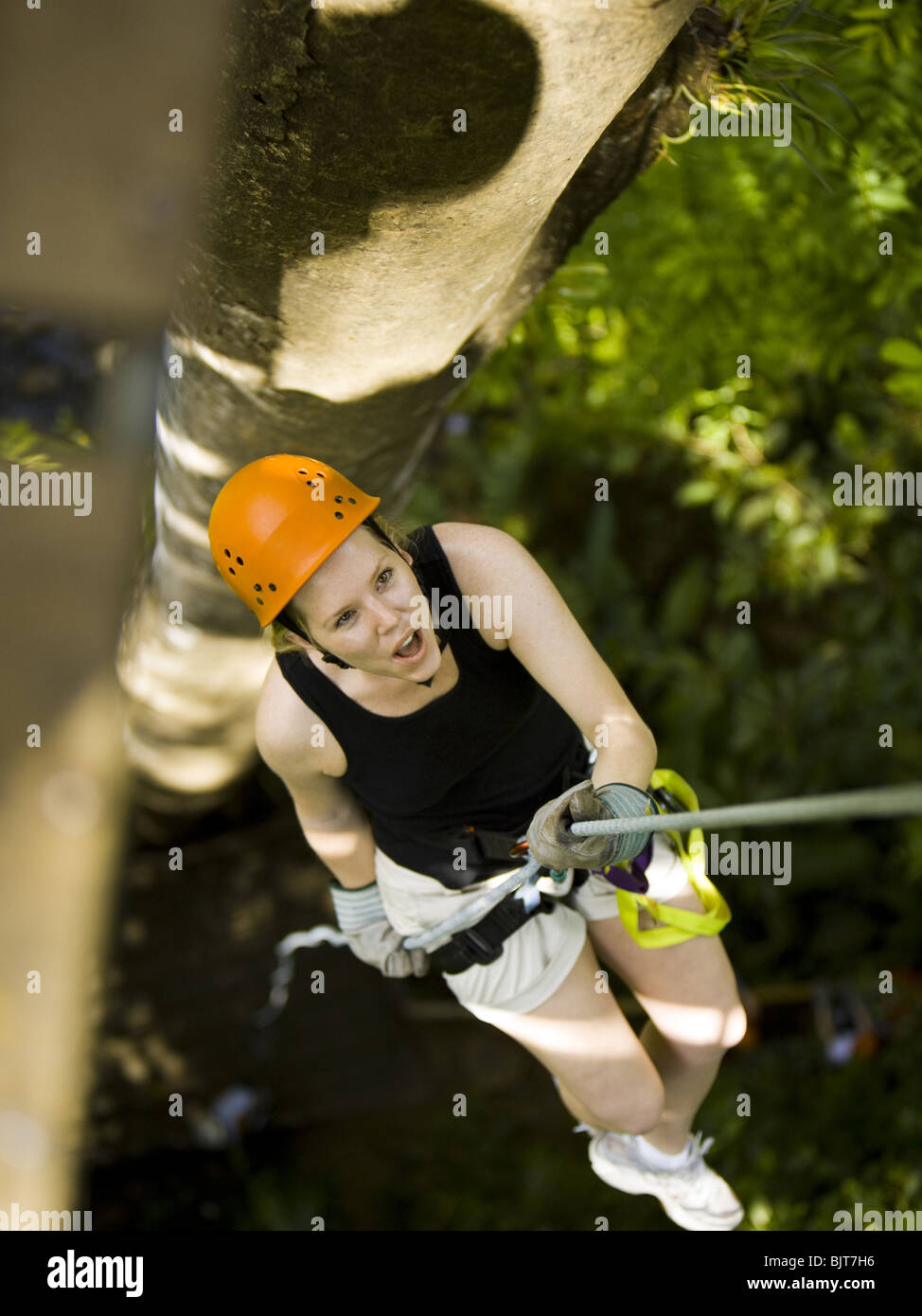 Female tree climber Stock Photo Alamy
