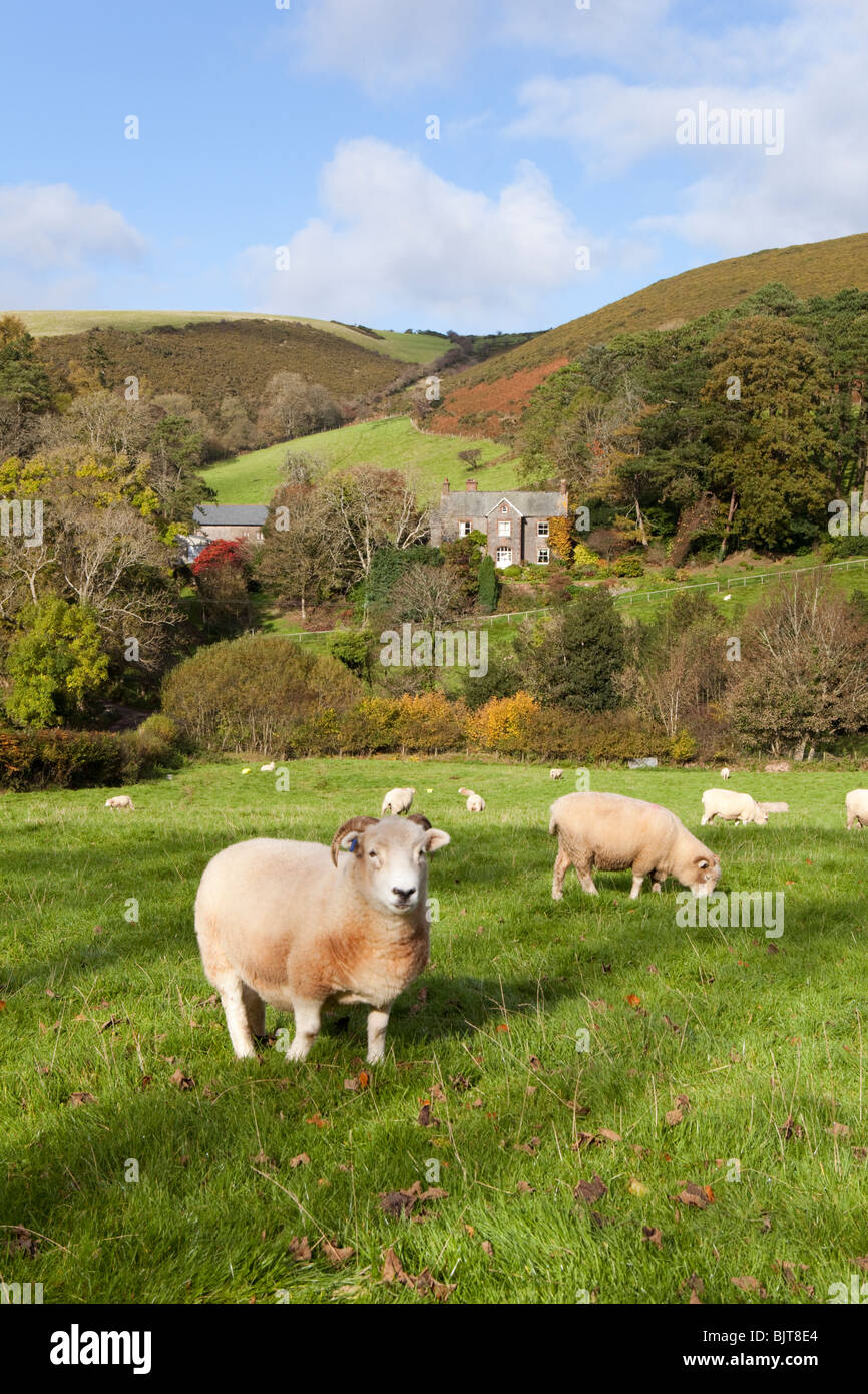 Village of moorland somerset hires stock photography and images Alamy
