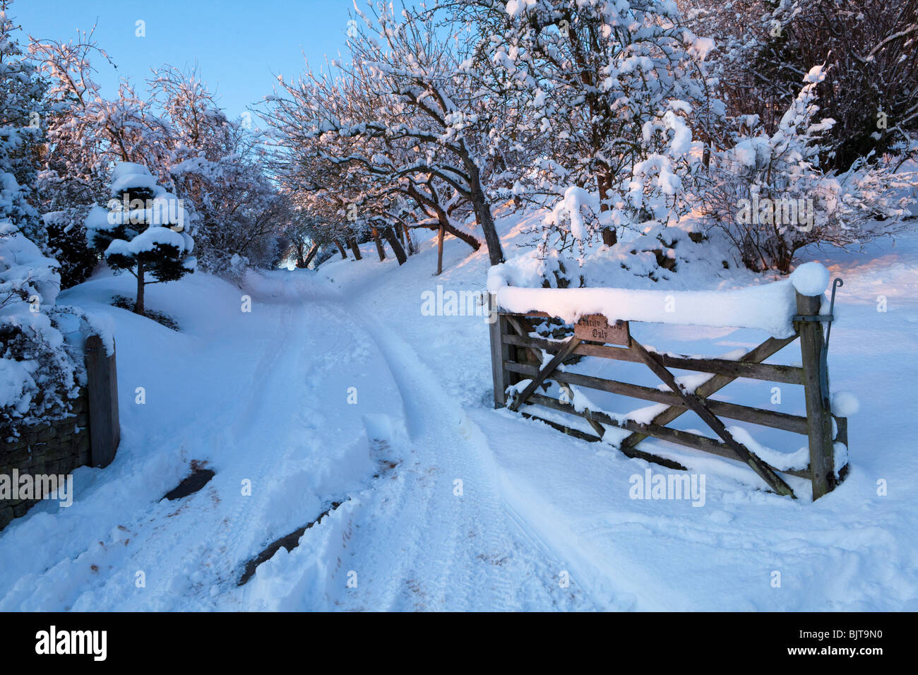 Dusk falling on winter snow and the track to Charity Farm in the Cotswold village of Stanton, Gloucestershire Stock Photo