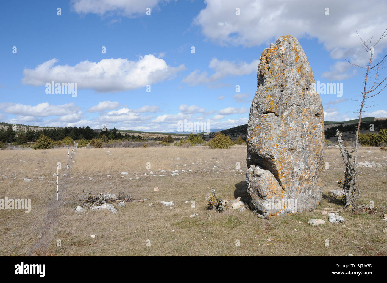 One of the lesser known and visited menhirs on the Causse Mejean, a limestone plateau above the Gorges du Tarn. Stock Photo