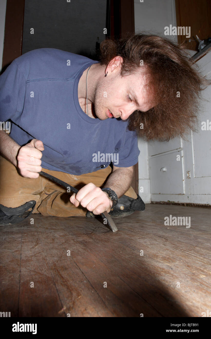 Man with long hair wearing kneepads using prybar to scrape old debris from an underlying wood floor surface. Stock Photo