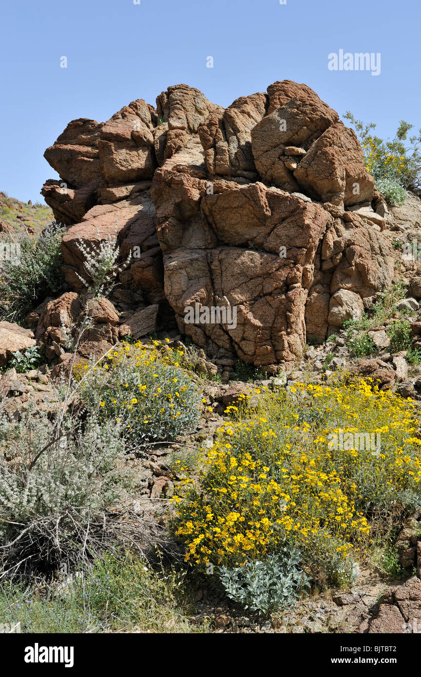 Glorietta Canyon AnzaBorrego State Park, CA 100327 35153 Stock Photo Alamy