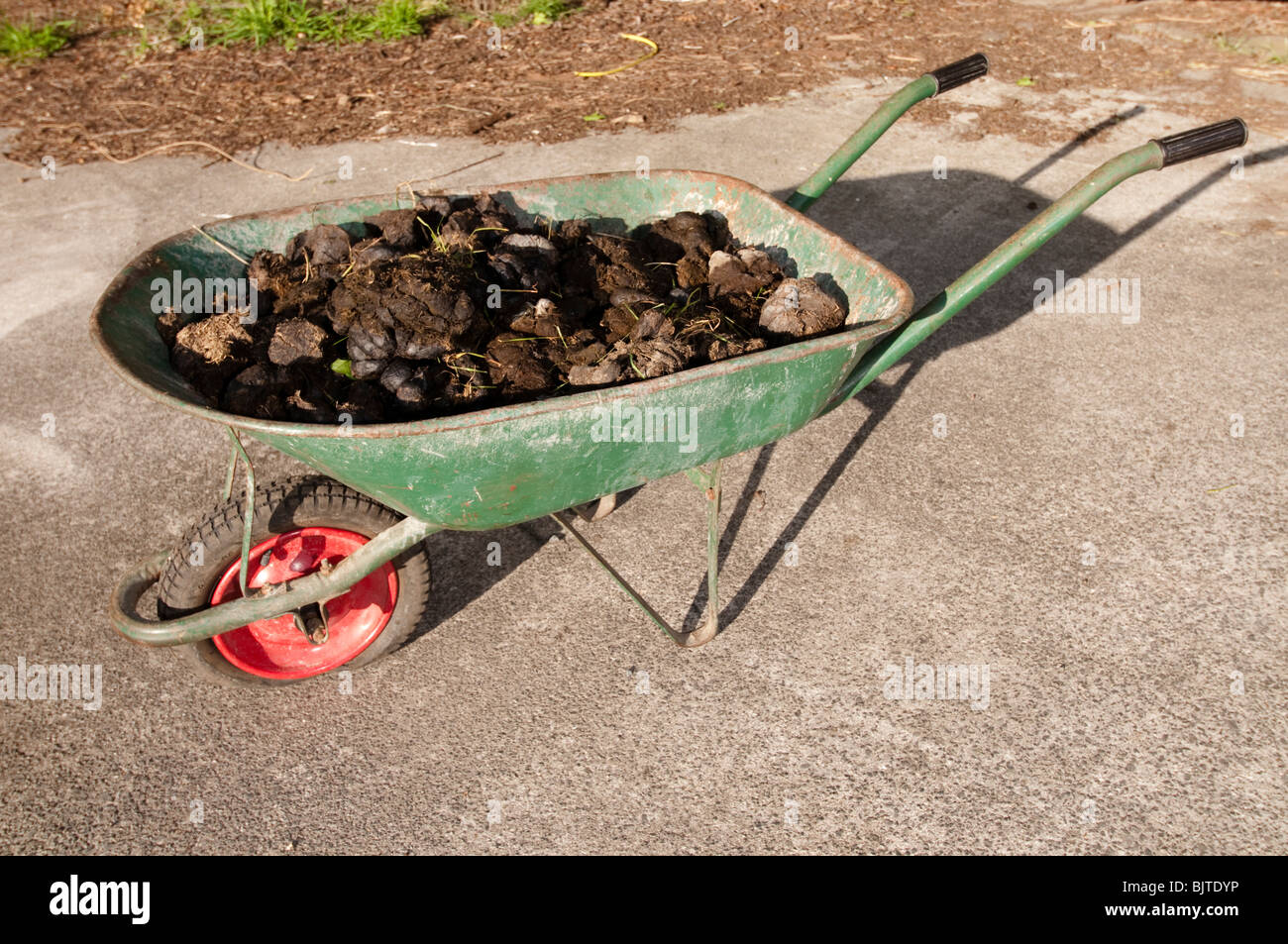 Horse on sale manure wheelbarrow