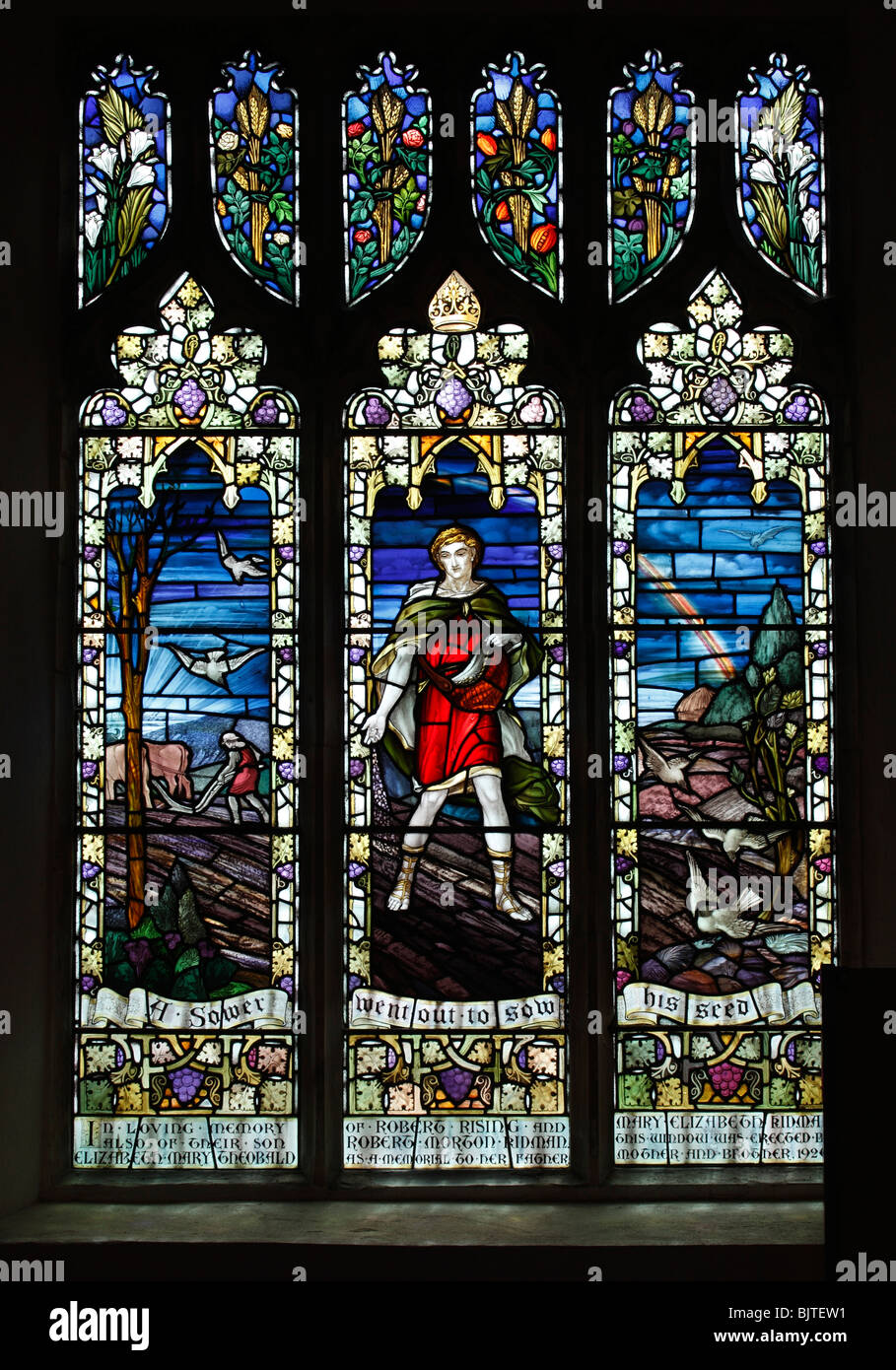 A stained glass window by William Morris & Co, depicting Matthew 13: 3, The Seed Sower, St Mary's Church, South Walsham, Norfolk Stock Photo