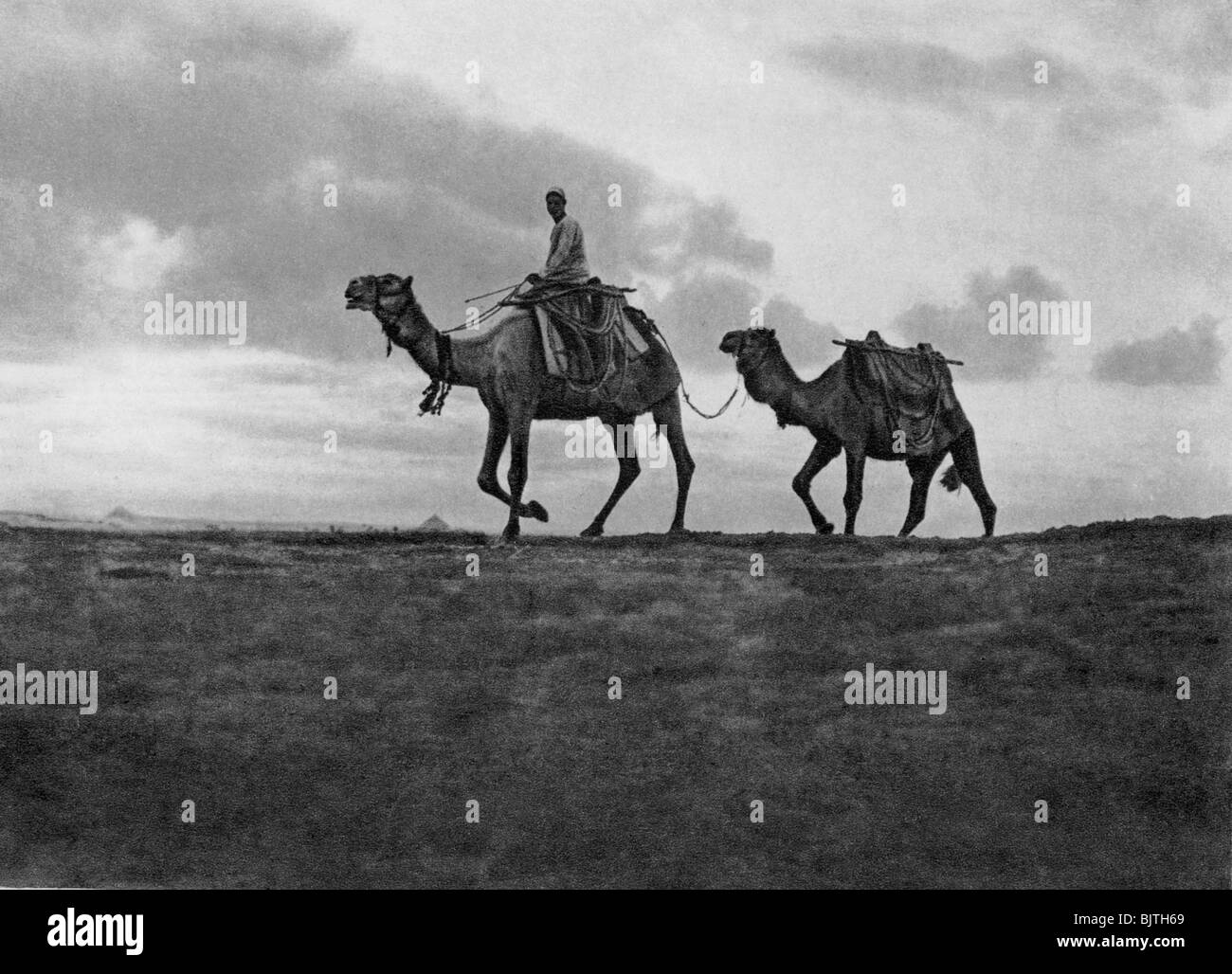 Riding camels in the desert Black and White Stock Photos & Images - Alamy