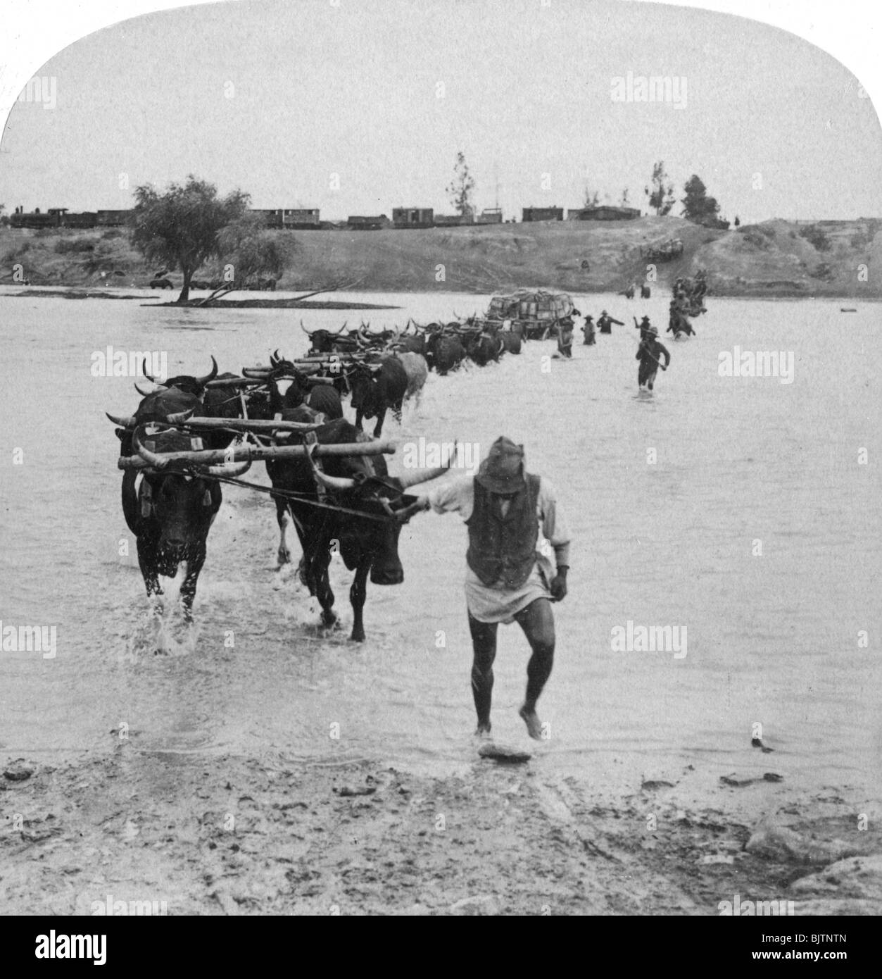 Fording the Modder River, Boer War, South Africa, 15th February 1901