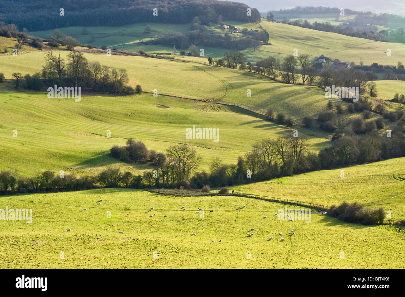 Cotswold hills, near Haresfield, Gloucestershire, UK Stock Photo