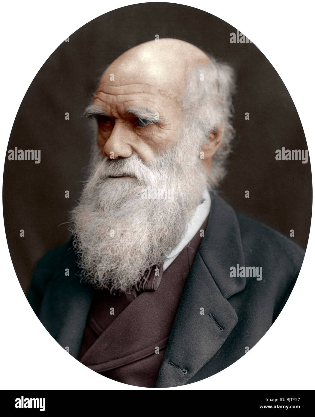 Charles Darwin, British naturalist, 1878. Artist: Unknown Stock Photo