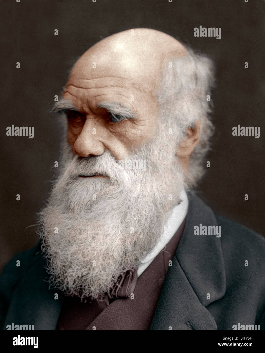 Charles Darwin, British naturalist, 1878. Artist: Unknown Stock Photo