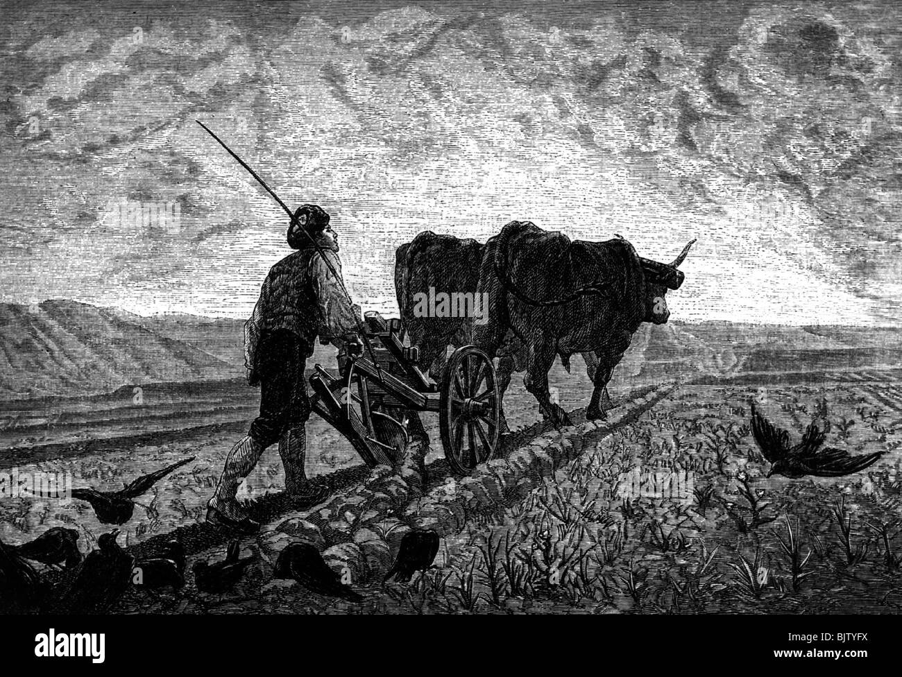 agriculture, ploughing, 'In the morning', wood engraving by Trichon after drawing by Marchal, 1872/1873, Stock Photo