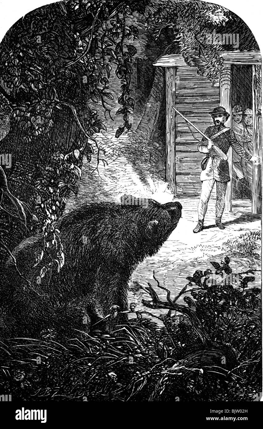 hunting, bears, bear hunting, grizzly bear outside of a hut in the