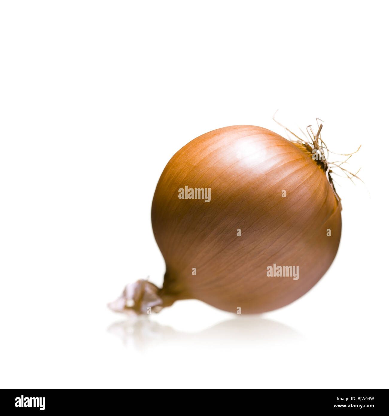 Skin Of Onion High Resolution Stock Photography and Images - Alamy