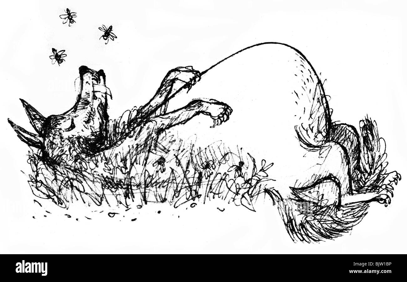 literature, fairytale, Grimm Brothers, The Wolf and the Seven Young Kids, drawing by Gerhard Oberländer (1905 - 1995), from: 'Kinder- und Hausmärchen', Verlag Heinrich Ellermann, München - Hamburg, 1960, Stock Photo
