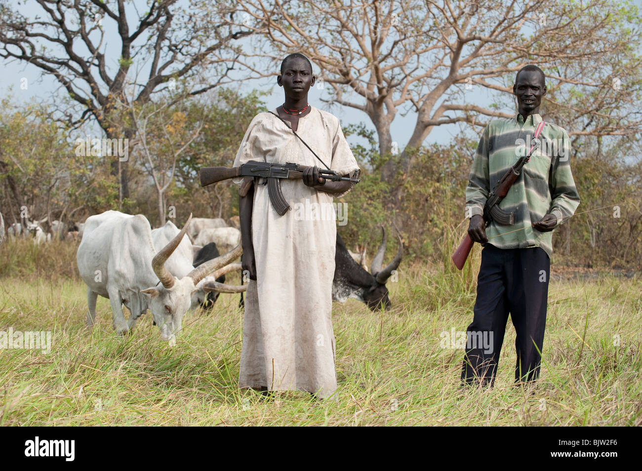 South-Sudan, Cuibet near Rumbek , young Dinka shepherd protect their Zebu cows with Kalashnikov AK-47 rifle from hostile cattle raider Stock Photo