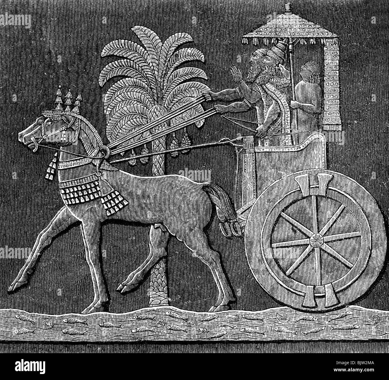 traffic / transport, coach, ancient world, Assyrian king's chariot, wood engraving, 19th century, historic, historical, carriage, coaches, carriages, Assur, Assyria, Biga, sunshade, chariots, horses, ancient world, people, Stock Photo
