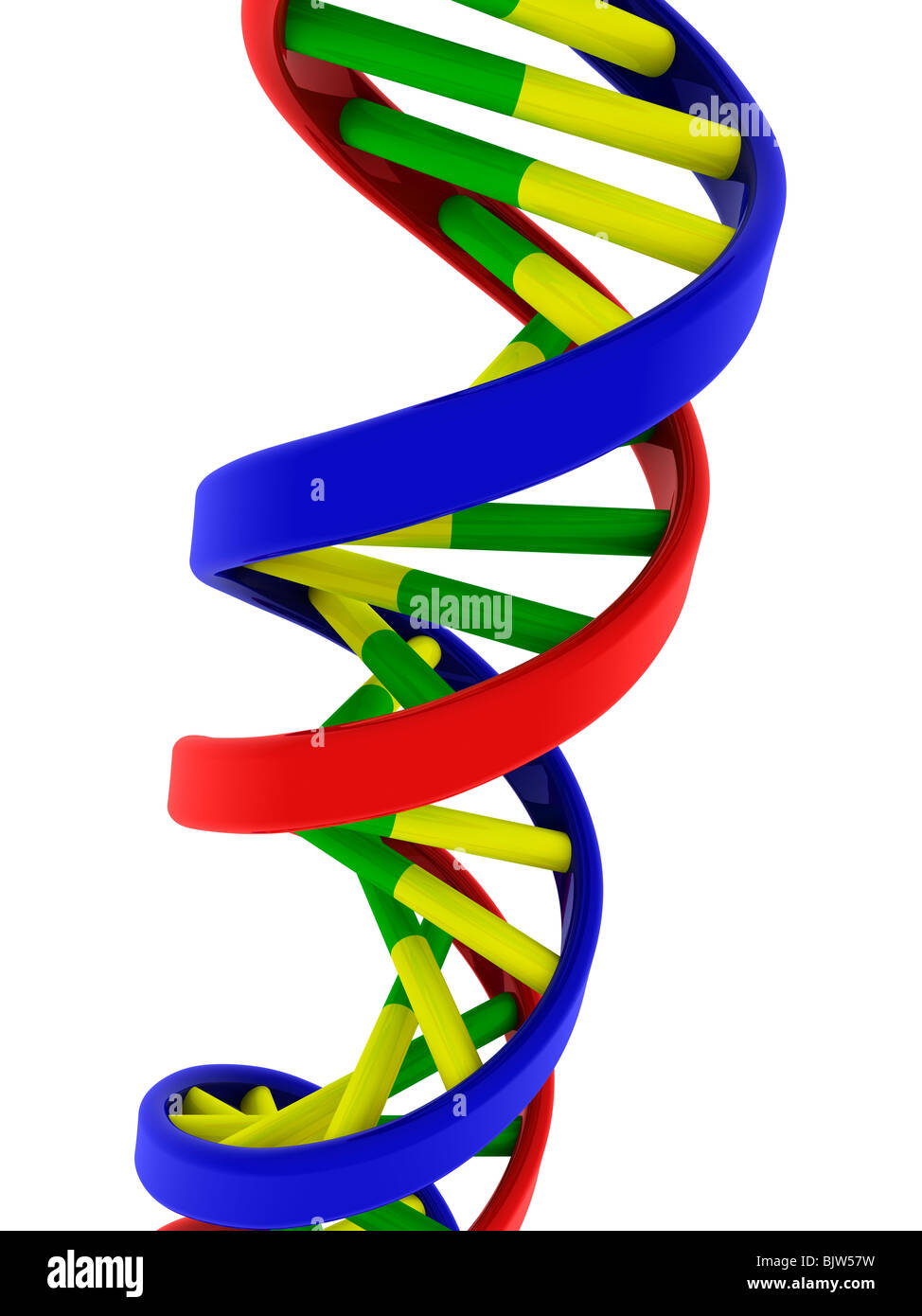 DNA double helix model - close up Stock Photo