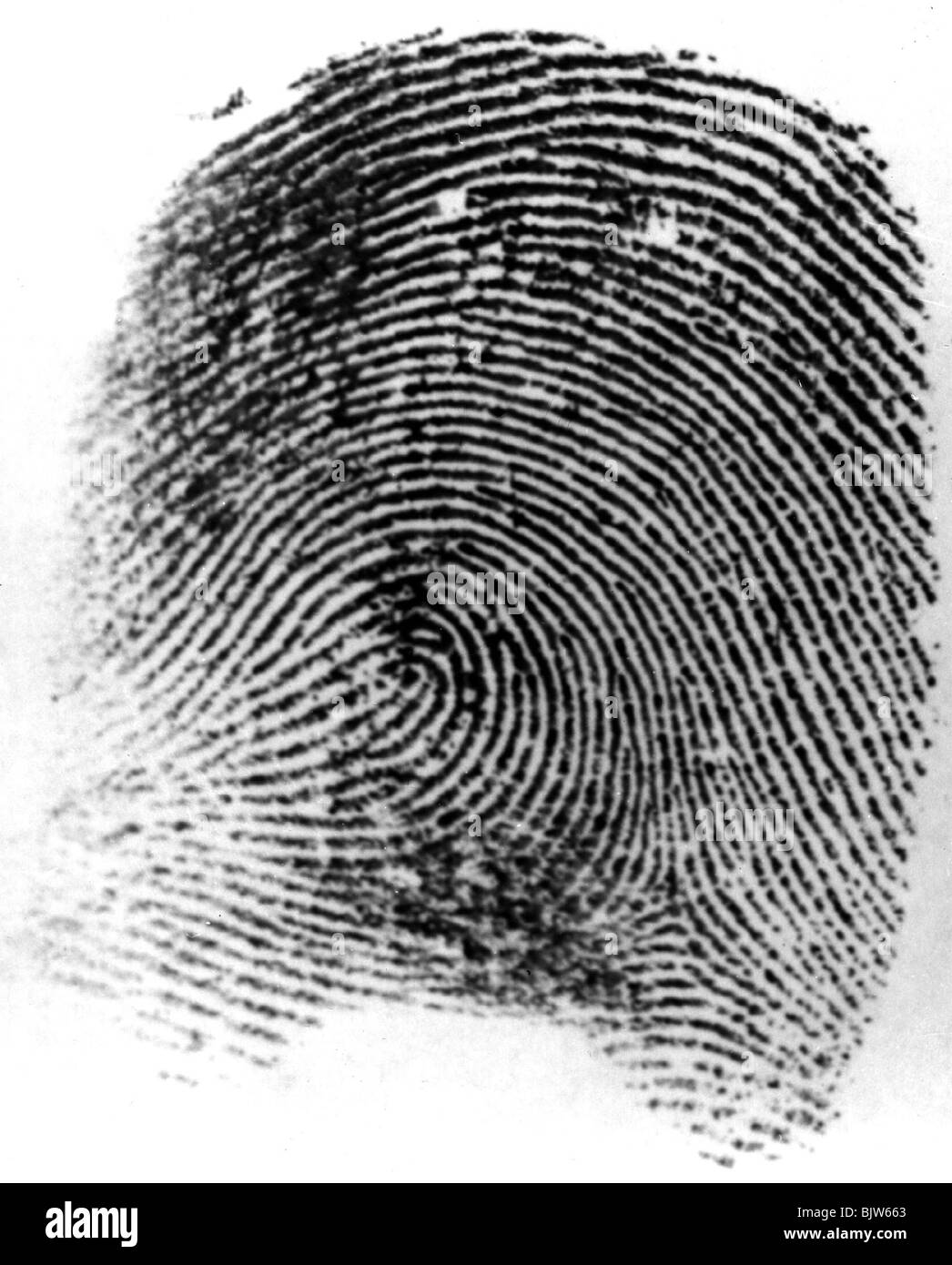 police, criminal solution, fingerprint Stock Photo 28827851 Alamy