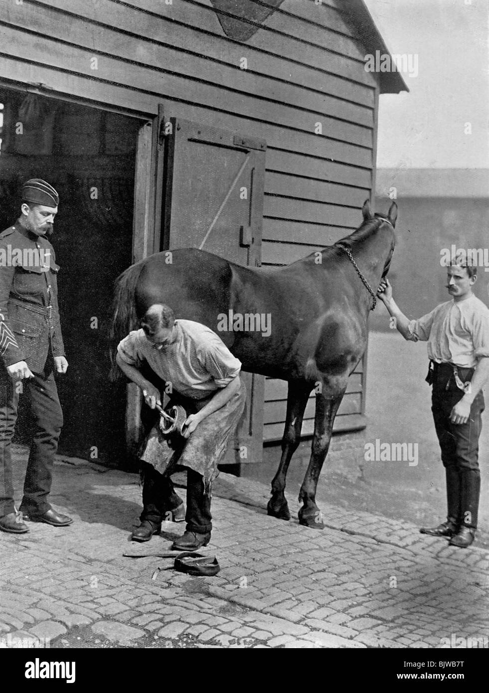 The Farrier-Major of the Royal Horse Guard, 1896.Artist: Gregory & Co Stock Photo