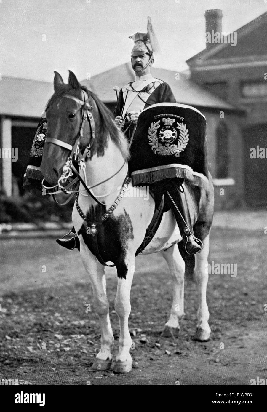 The drum horse of the 17th Lancers, 1896. Artist: Gregory & Co Stock Photo