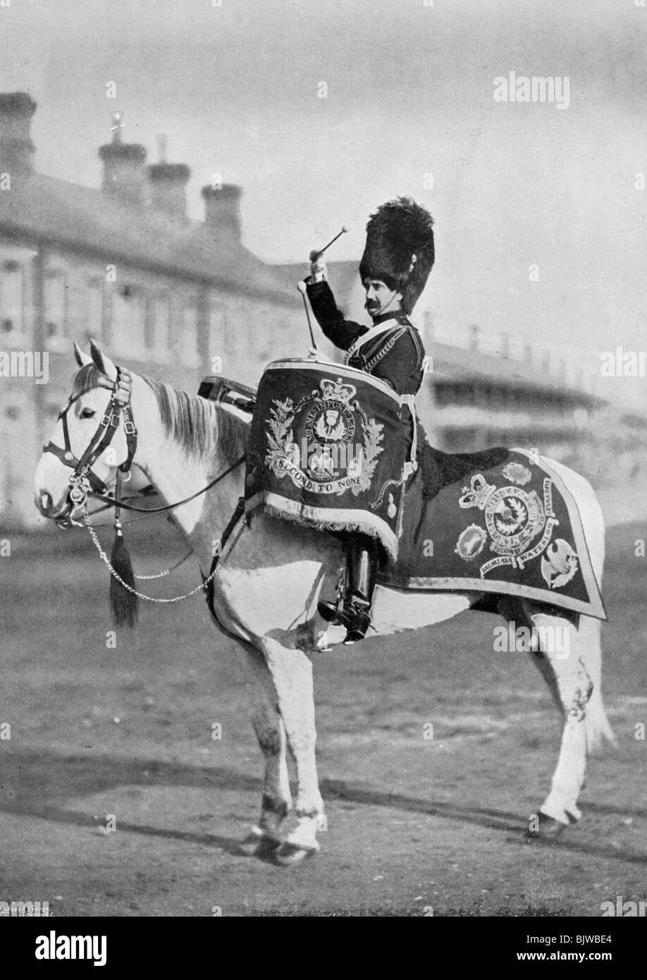 'Plum Duff', the drum-horse of the Royal Scots Greys, 1896. Artist: Gregory & Co Stock Photo