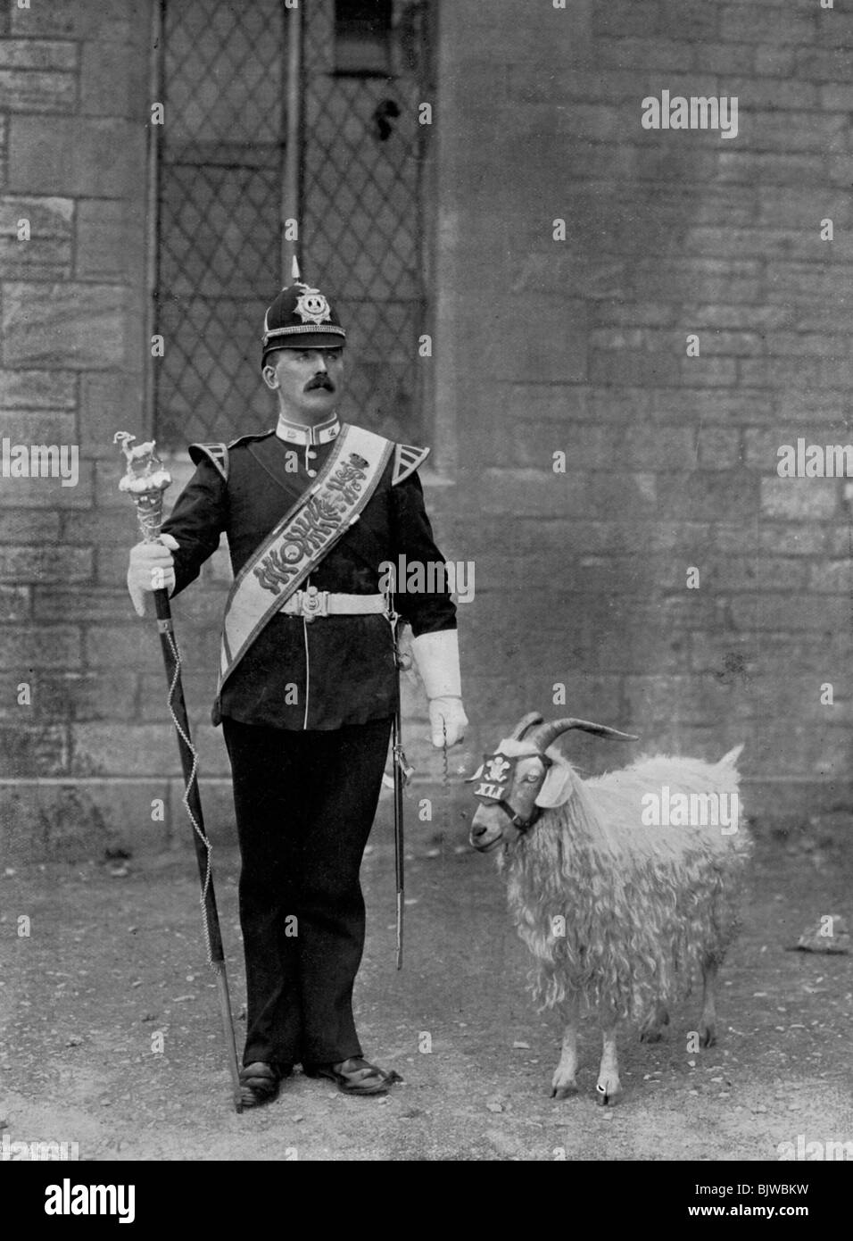 The Drum Major and goat of the 1st Battalion the Welch Regiment, 1896. Artist: WM Crockett Stock Photo