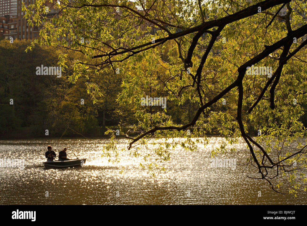 Fishing in Central Park Stock Photo Alamy