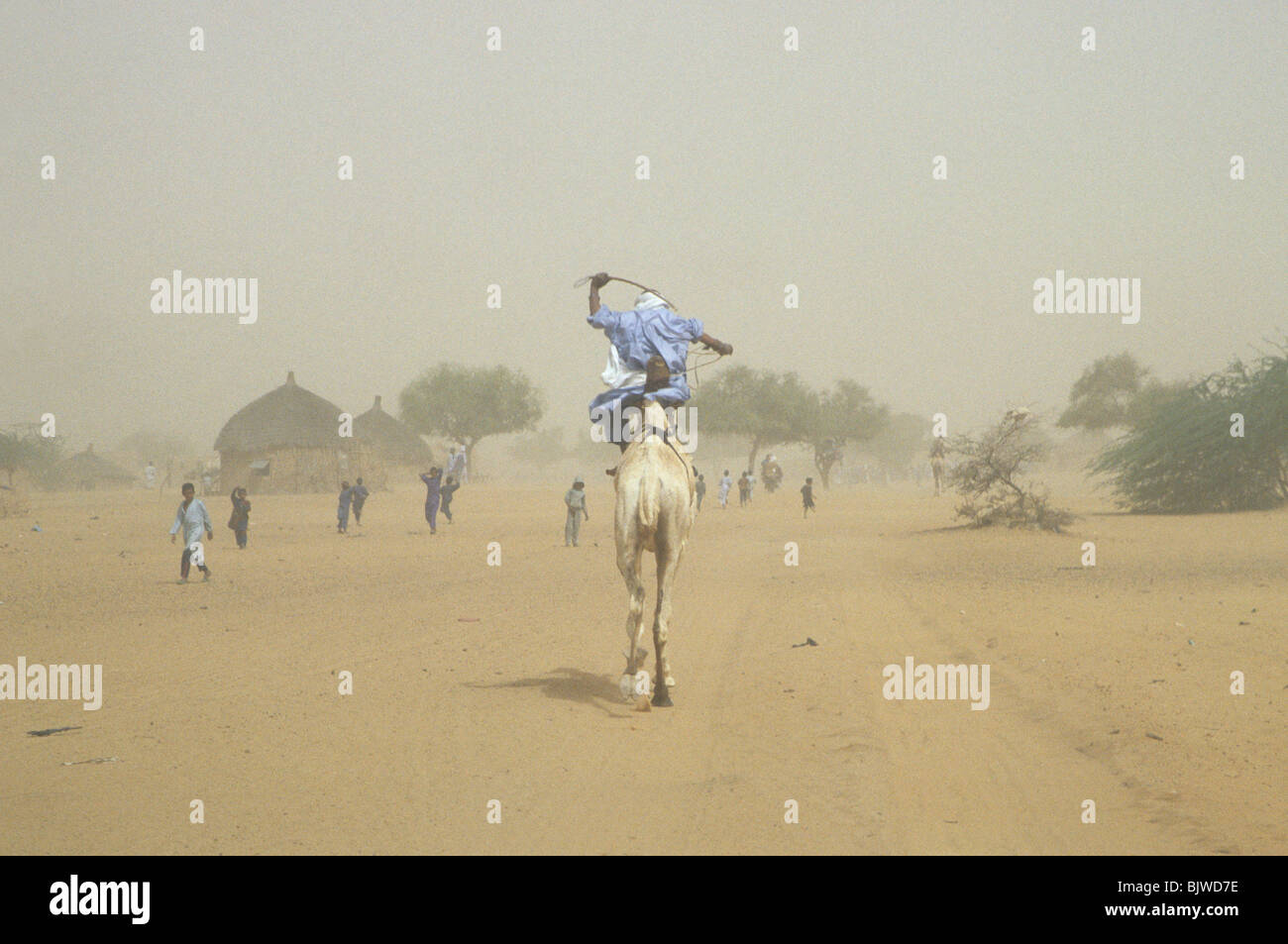 Camel racing in the Sahara desert during the fete of Tabaski, Tarbiat, Niger, West Africa Stock Photo