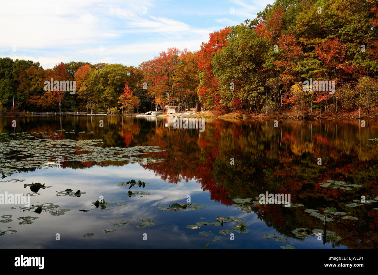 Autumn surrounds Lake Orbach in Staten Island's Greenbelt Stock Photo ...