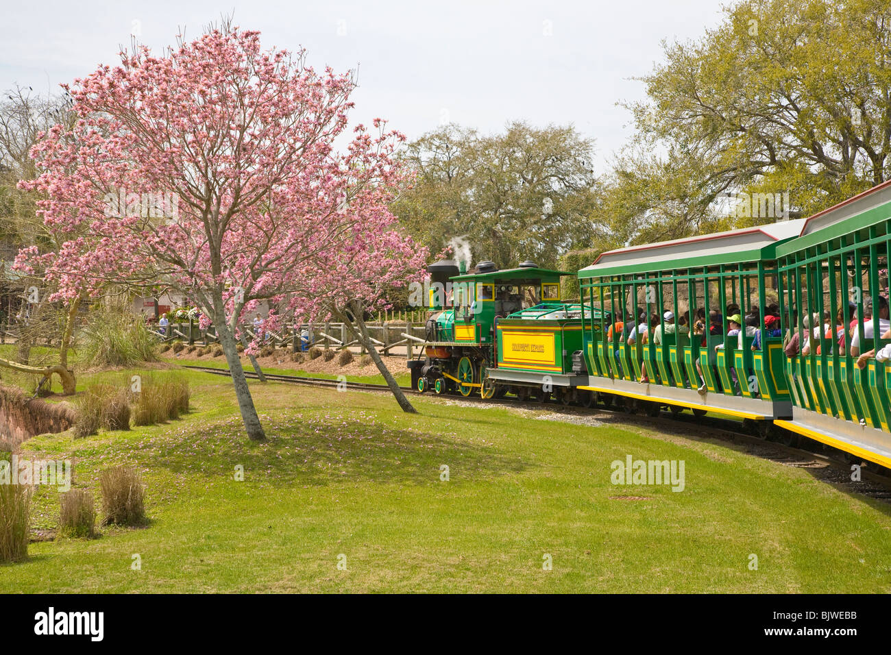 Serengeti Express Train an old fashioned stream locomotive train at Busch Gardens in Tampa Florida Stock Photo