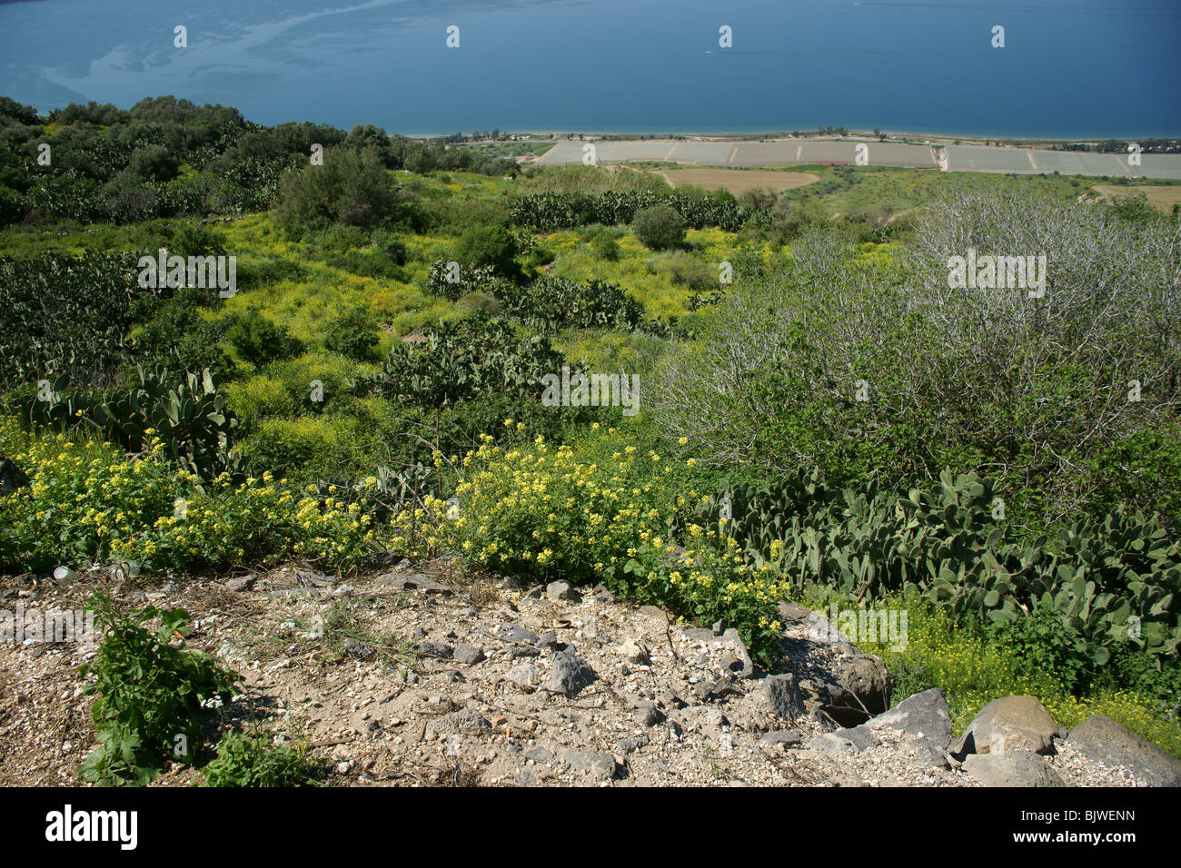Golan Heights aspect,sea of Galilee Stock Photo