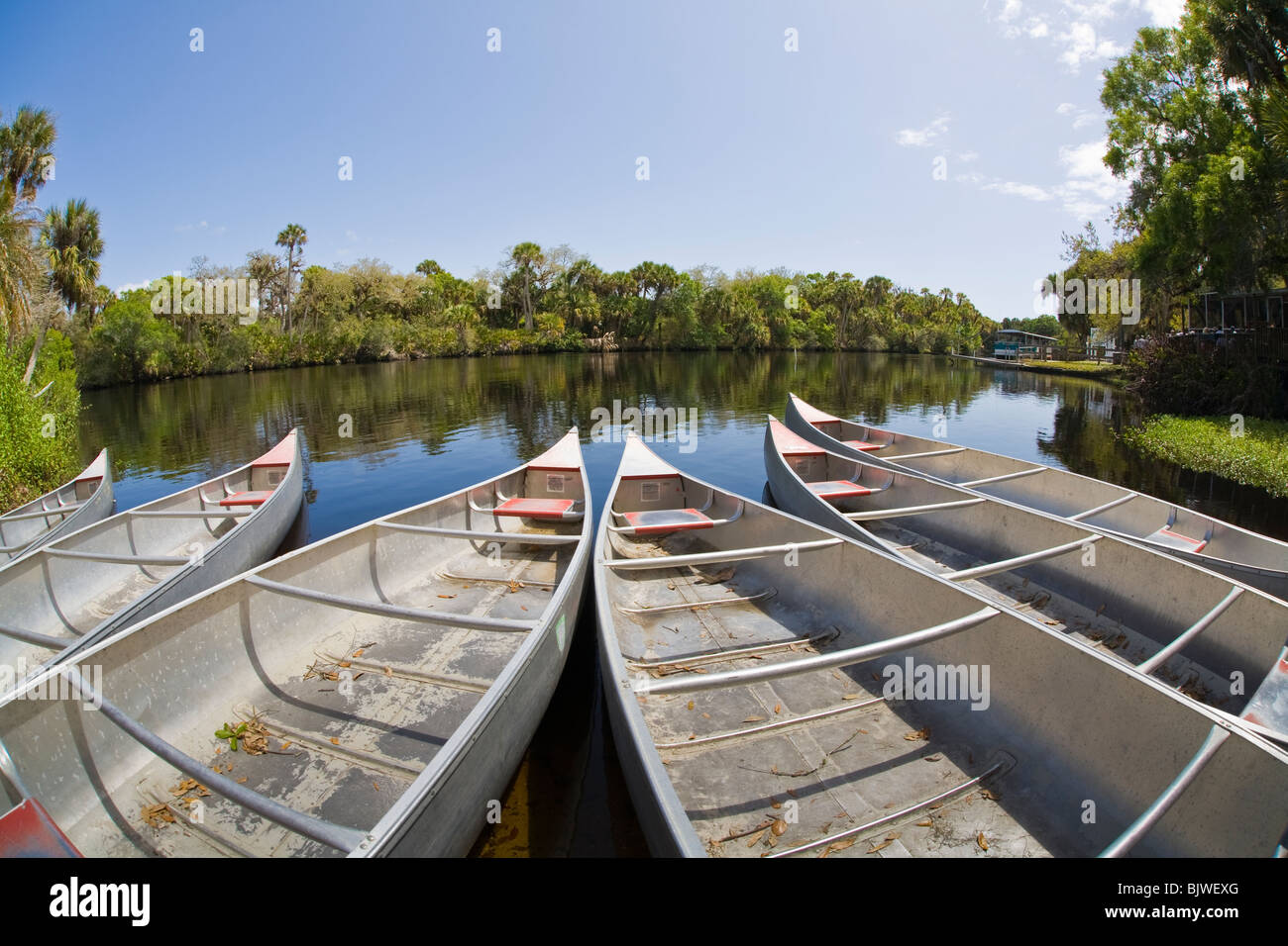 Canoes at Snook Haven fish camp on the Myakka River in Venice Florida