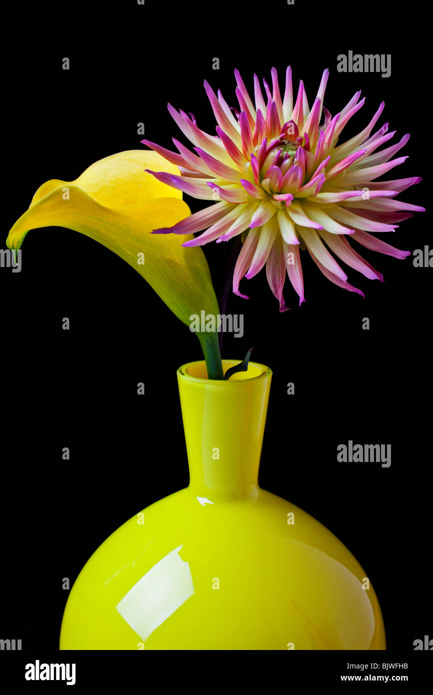 Yellow calla lily with dahila in yellow vase Stock Photo