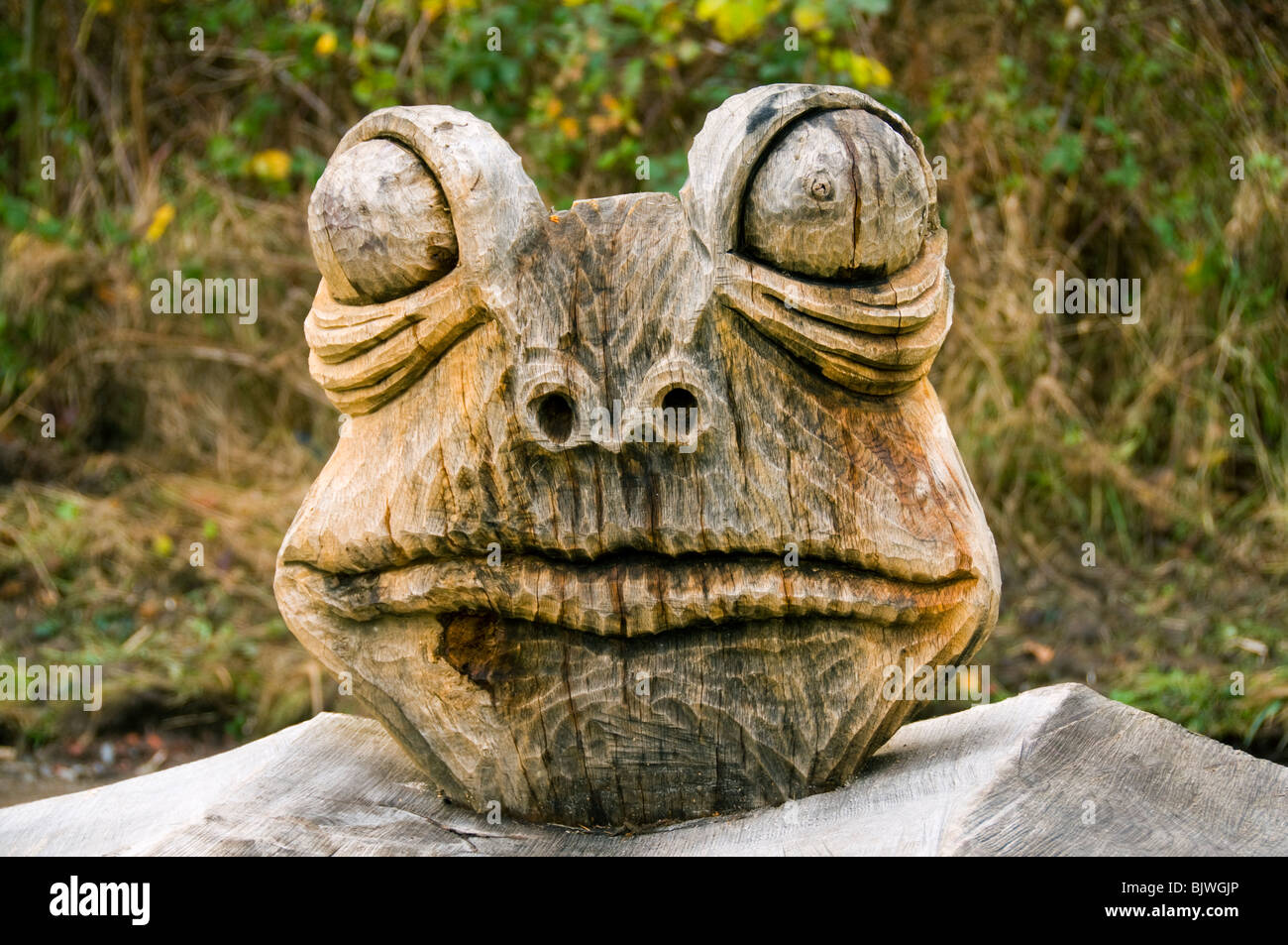 Frog carving at Daisy Nook Country Park, Failsworth, Greater Manchester, England, UK Stock Photo