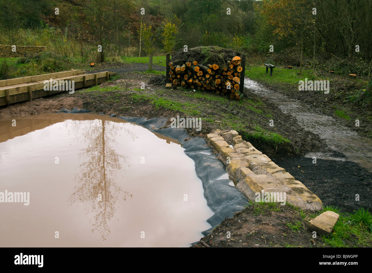 Wildlife pool under construction at Daisy Nook Country Park, Failsworth, Manchester, England, UK Stock Photo