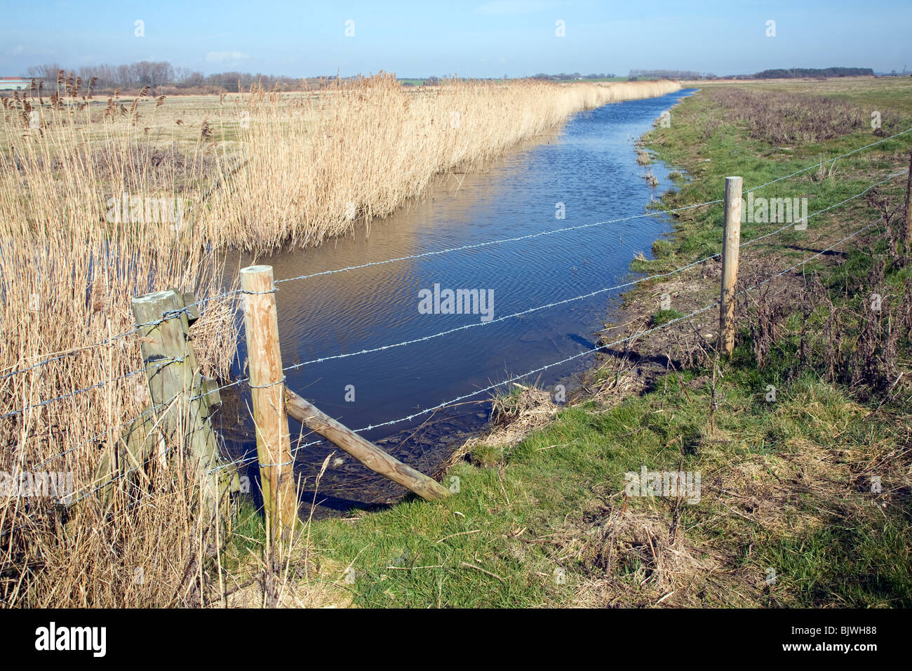 Drainage ditches marshes Hollesley Suffolk Stock Photo Alamy