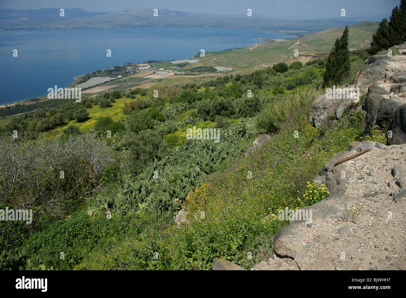 Golan Heights aspect,Sea of Galilee Stock Photo