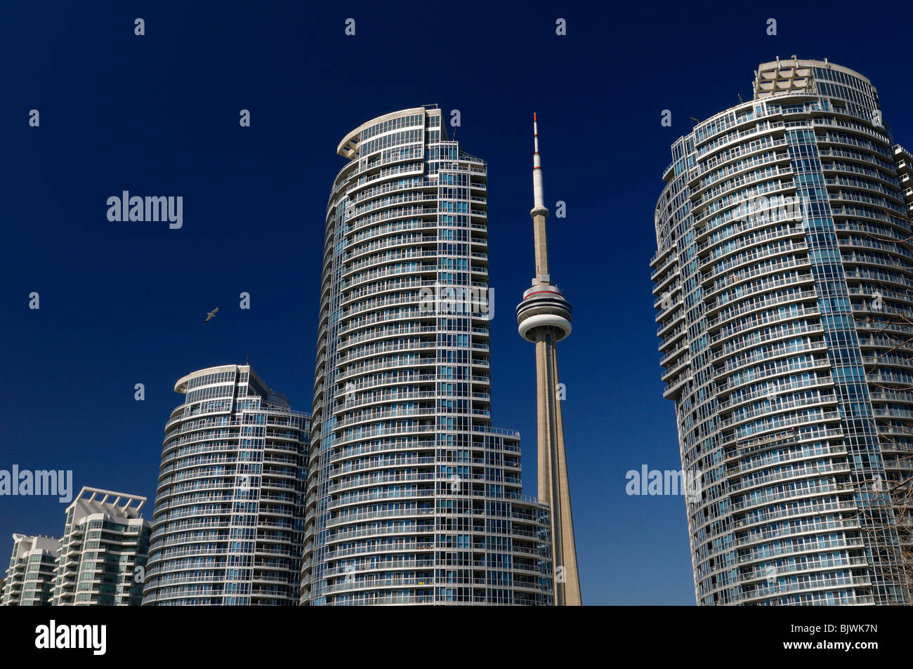 Row of new Harbourfront blue glass high rise Condos in Toronto with the CN tower with blue sky Stock Photo