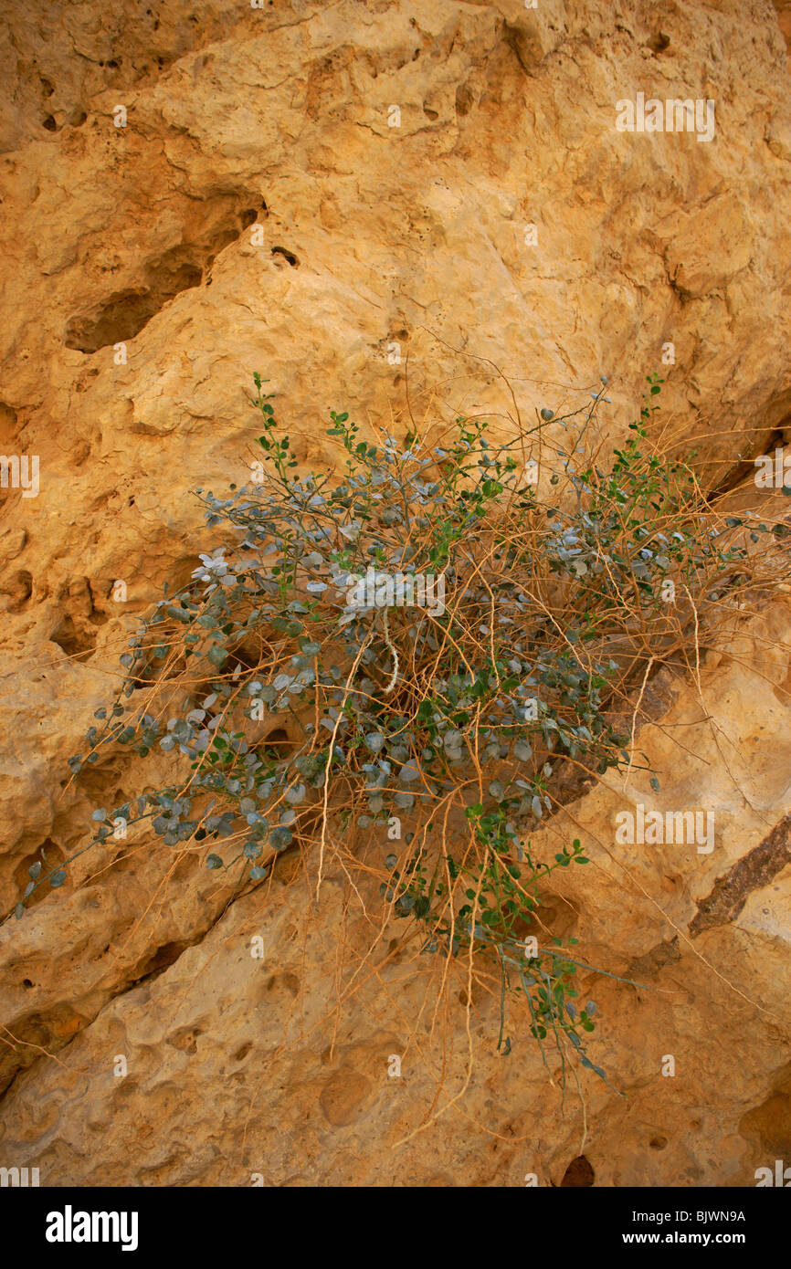 Small Machtesh Negev Aspect Stock Photo