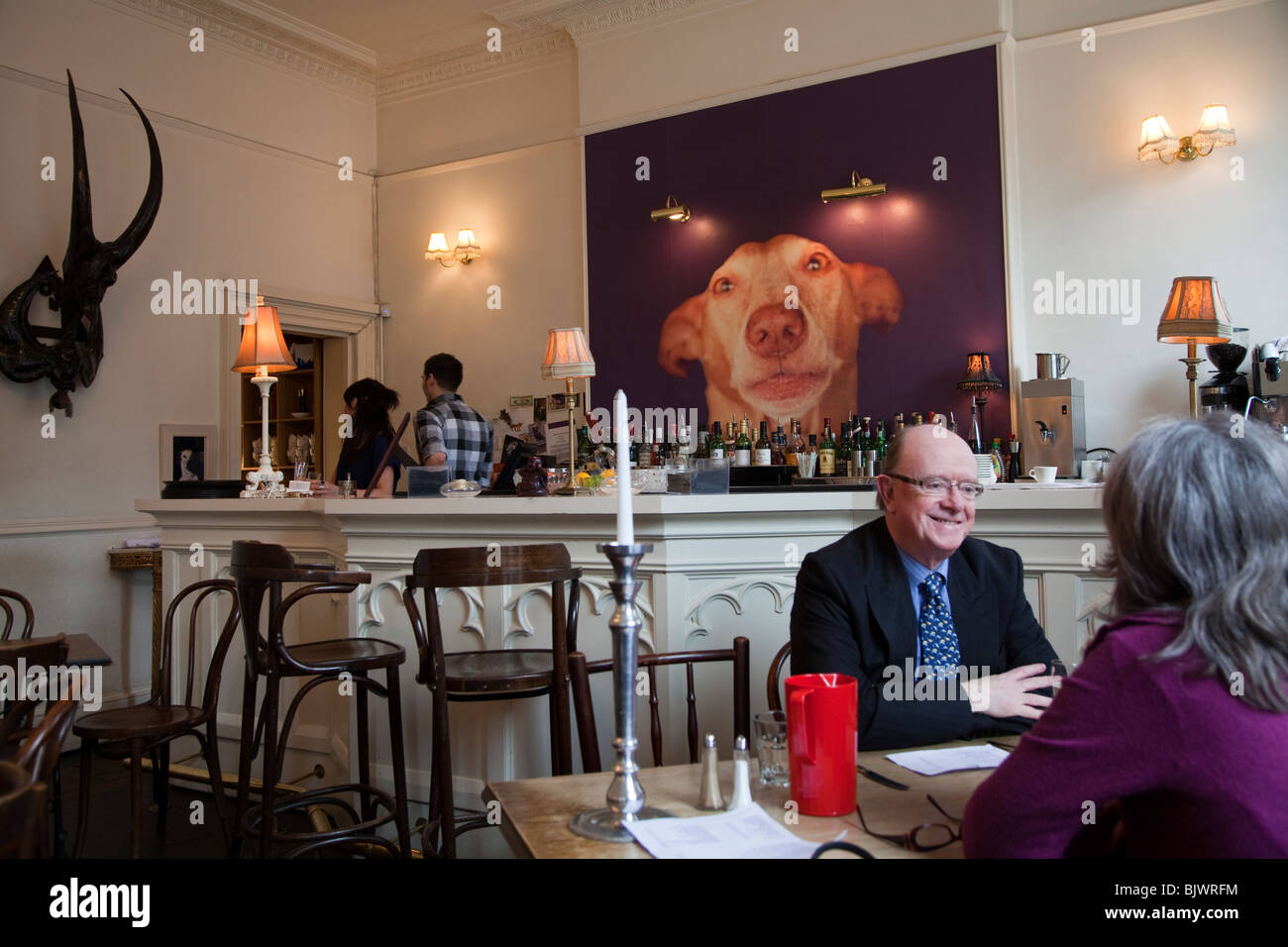 The Dogs Restaurant, Edinburgh, Scotland Stock Photo Alamy