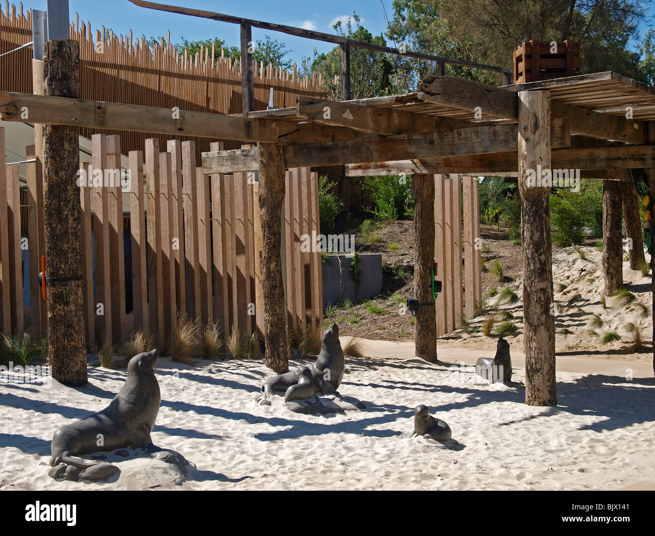 SEAL ENCLOSURE MELBOURNE ZOO VICTORIA AUSTRALIA Stock Photo Alamy