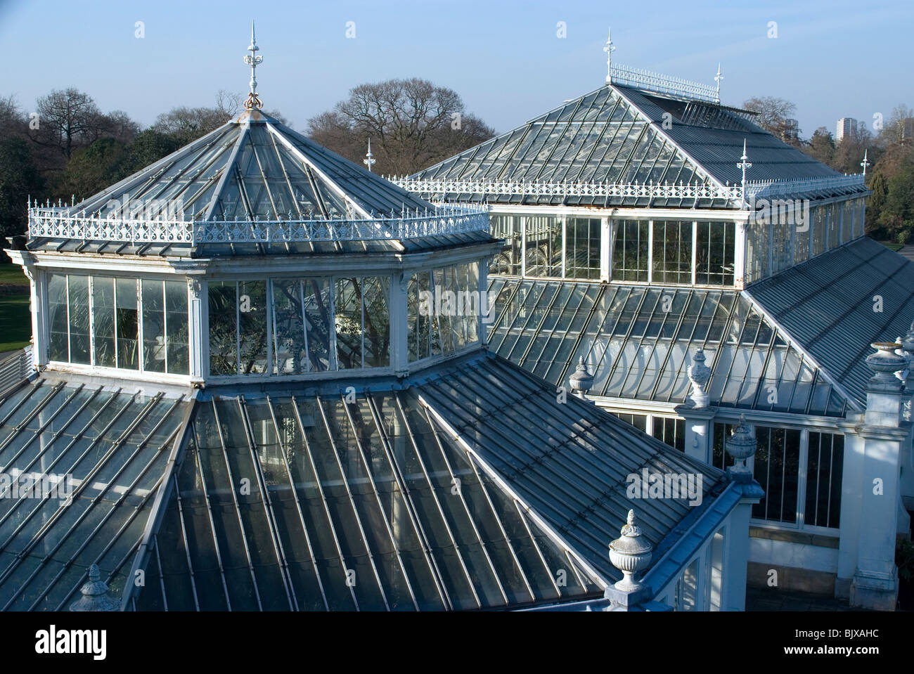 View over the tops of the Temperate Houses, Kew Gardens, Kew, Surrey, England. Stock Photo