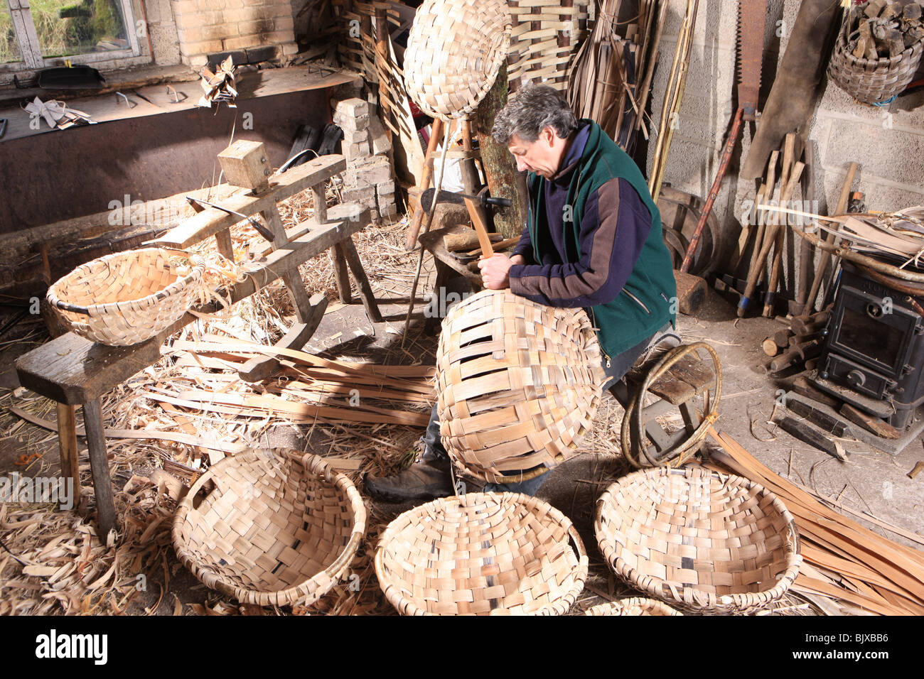 Owen Jones making Oak Swill Basket in the Lake District,is the only craftsman making swill baskets in the country. Stock Photo