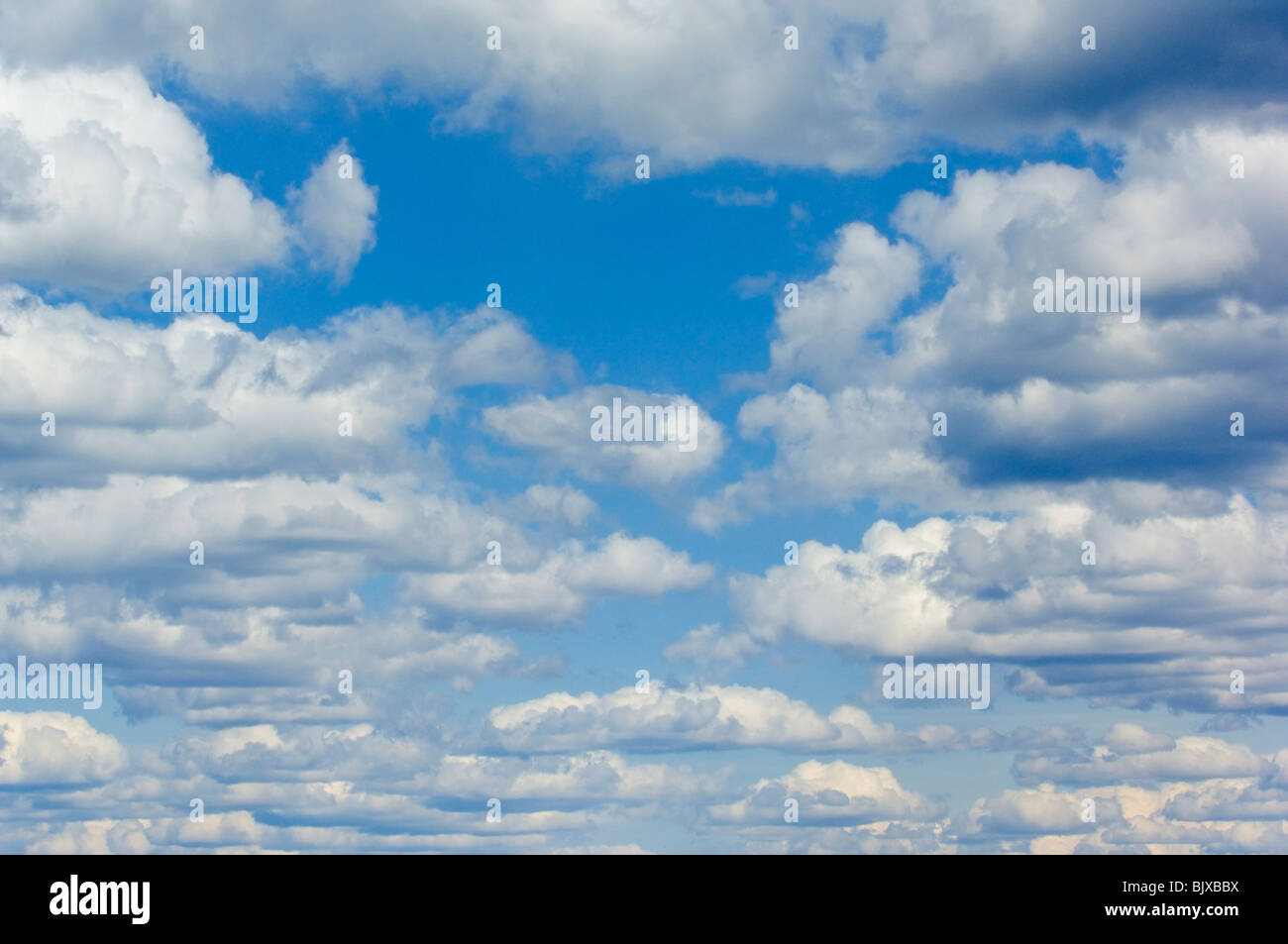 A blue sky filled with white puffy clouds Stock Photo - Alamy