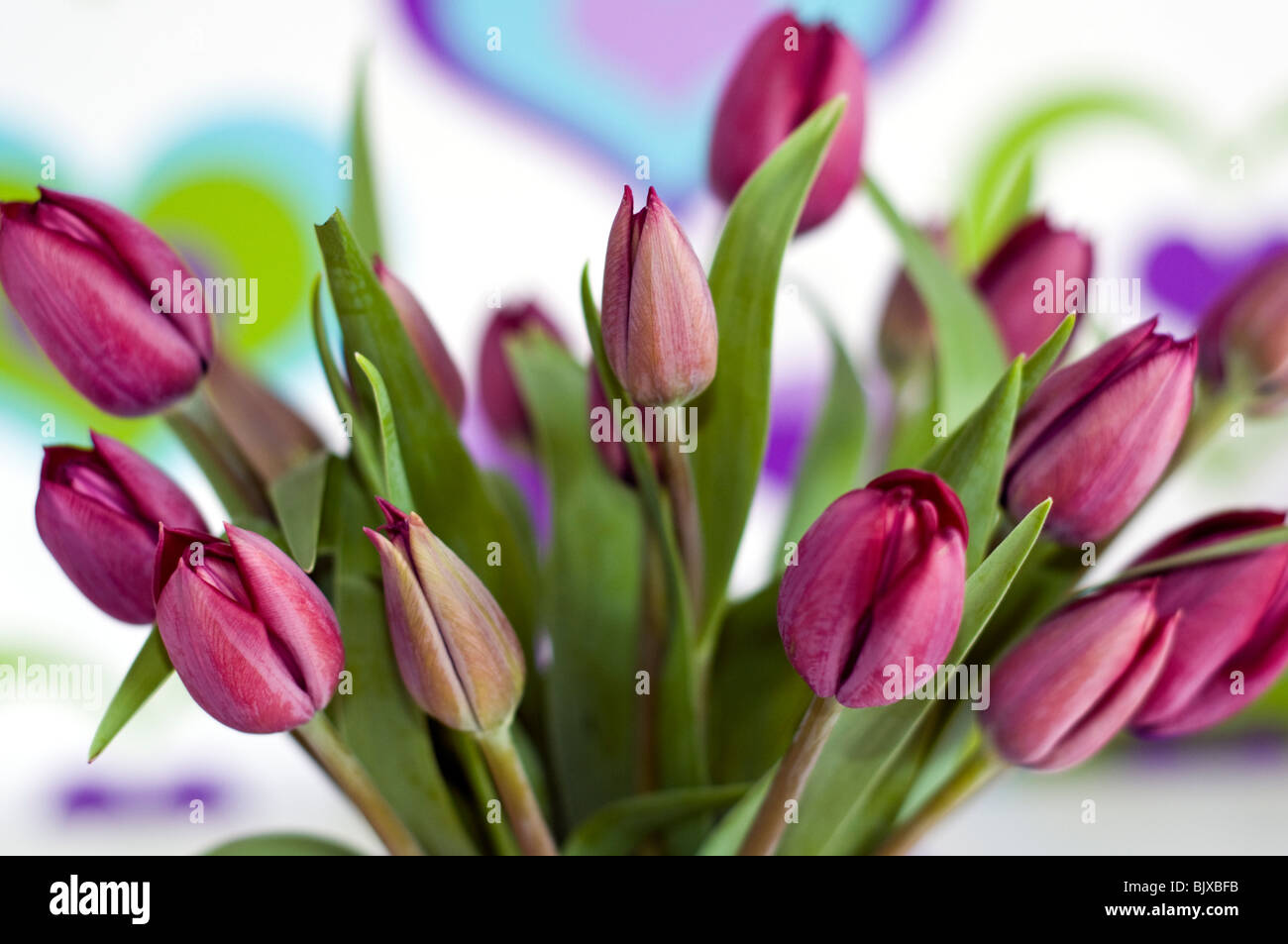 A vase of purple tulips in front of colorful wallpaper decorated with a heart pattern Stock Photo