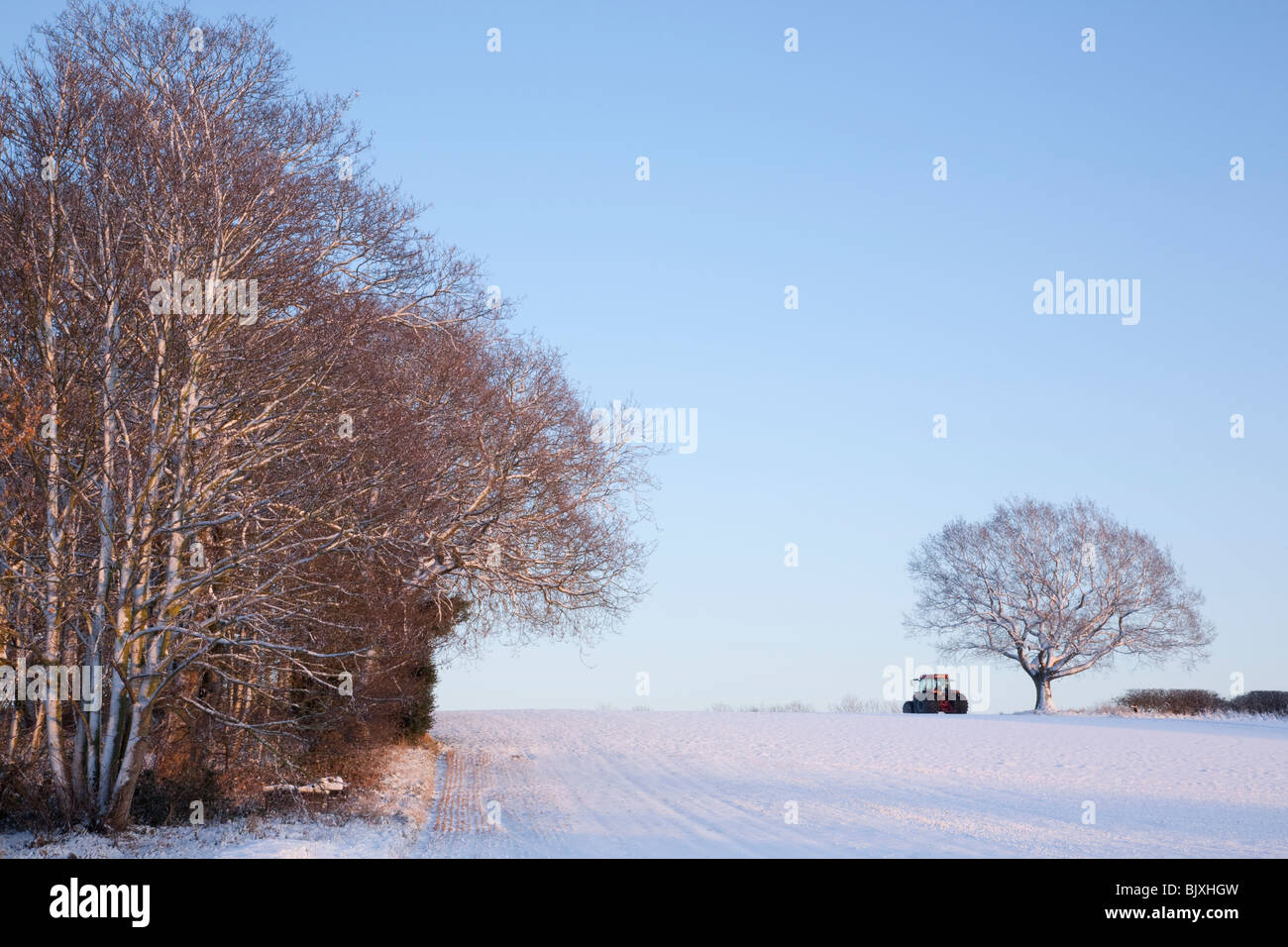 Hives covered in snow hi-res stock photography and images - Alamy