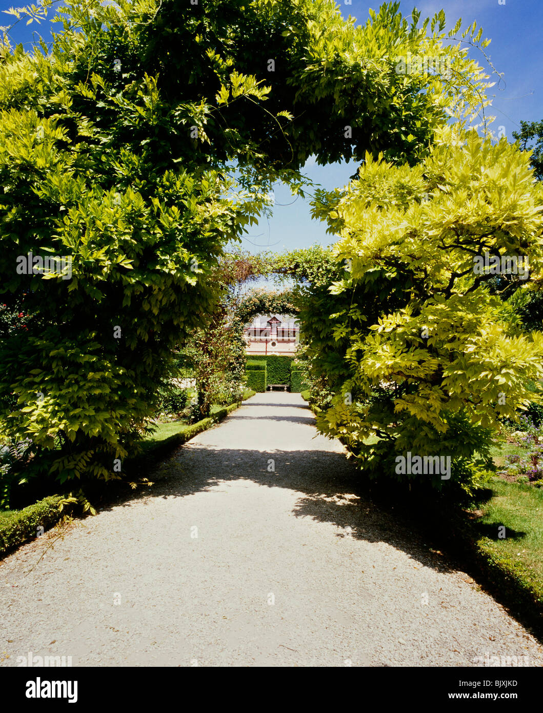 Arched trees hi-res stock photography and images - Alamy