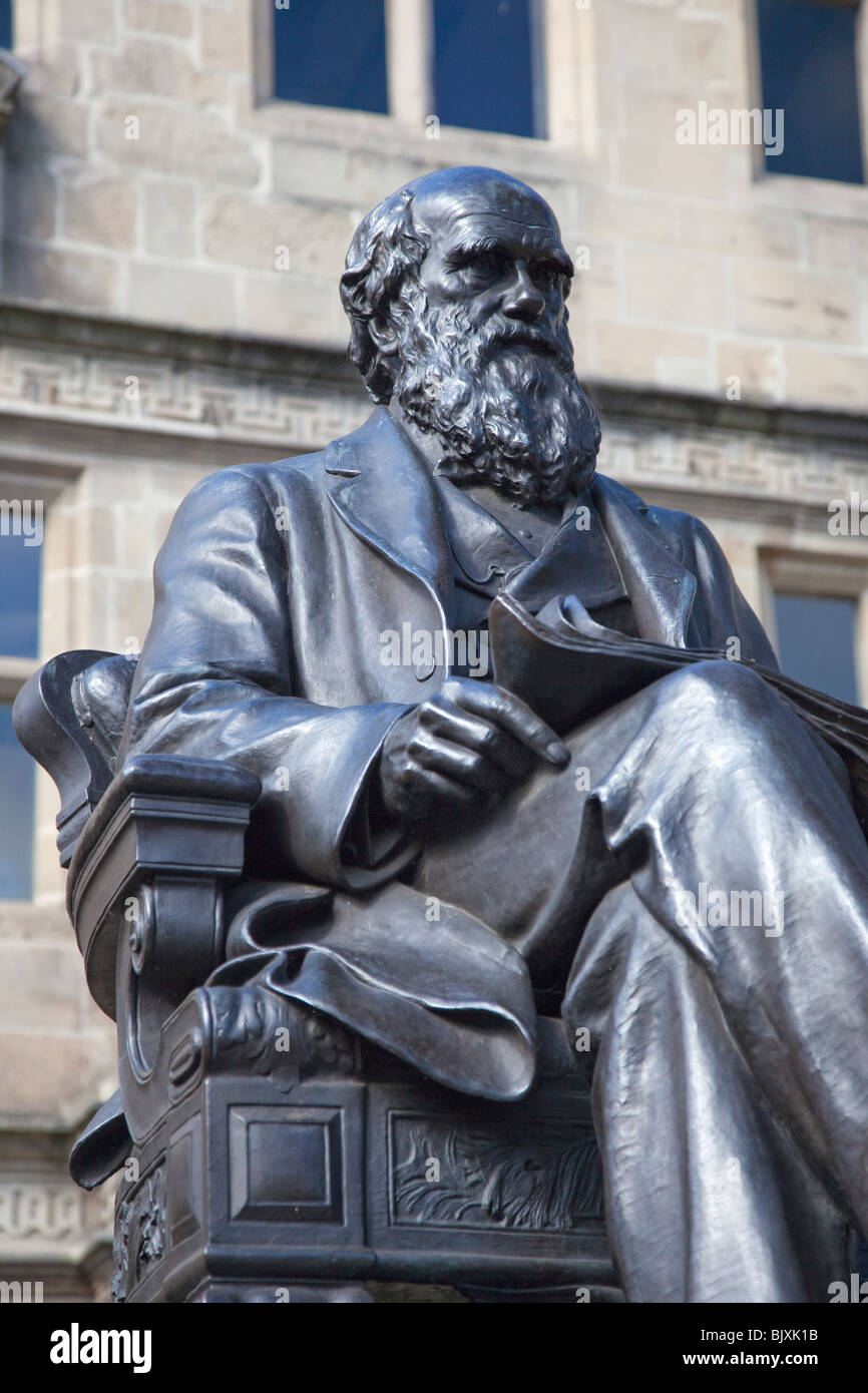 Statue of charles darwin hires stock photography and images Alamy