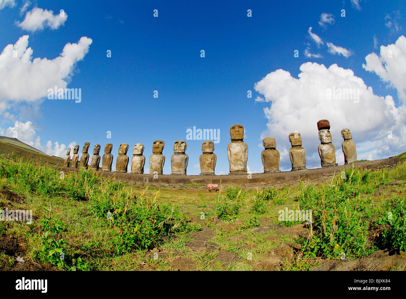 Moai statues in Easter Island, Chile Stock Photo Alamy