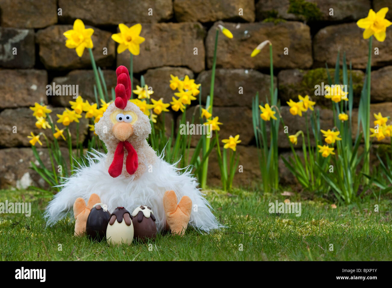 Fluffy Easter chicken cuddly toy and chocolate easter eggs. UK Stock Photo