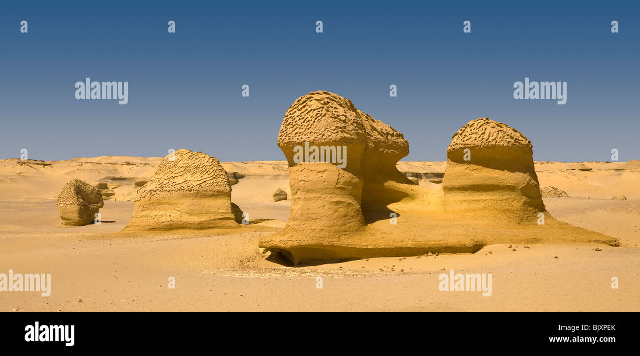 Panoramic shot of landscape  showing wind erosion in the Valley of The Whales, Wadi El-Hitan, Western Desert of Egypt Stock Photo